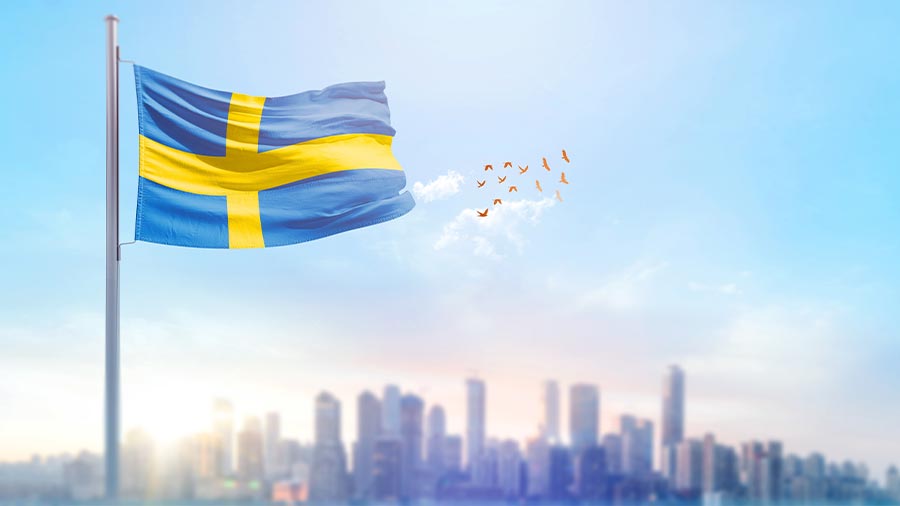 How Swedish Companies Navigate China’s Evolving Market with Strategic Localization and Diversification